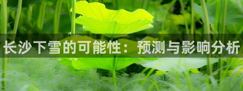 永盈welcome体育凯捷代理注册：长沙下雪的可能性：预测与影响分析