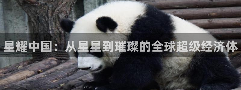 永盈welcome平台注册入口：星耀中国：从星星到璀璨的全球超级经济体