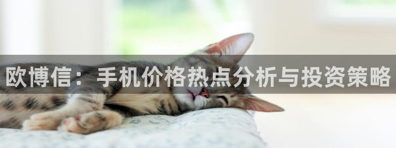 永盈welcomevk：欧博信：手机价格热点分析与投资策略