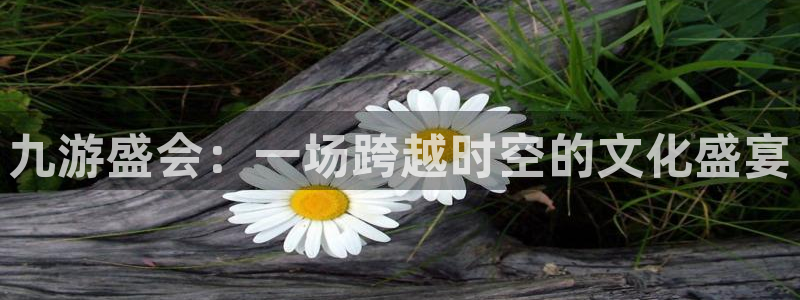 永盈welcome登录界面入口：九游盛会：一场跨越时空的文化盛宴