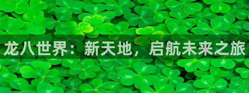 永盈welcome体育凯捷平台主管：龙八世界：新天地，启航未来之旅