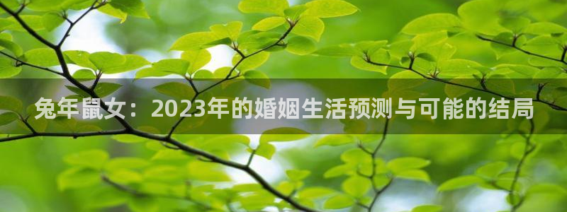 永盈welcome体育用品：兔年鼠女：2023年的婚姻生活预测与可能的结局