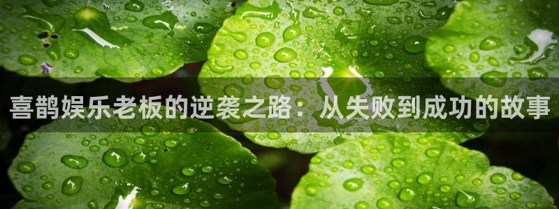 永盈welcome体育代理：喜鹊娱乐老板的逆袭之路：从失败到成功的故事