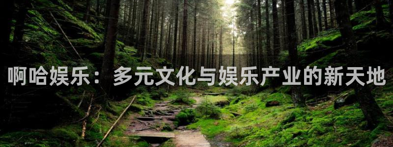 永盈welcome体育4：啊哈娱乐：多元文化与娱乐产业的新天地