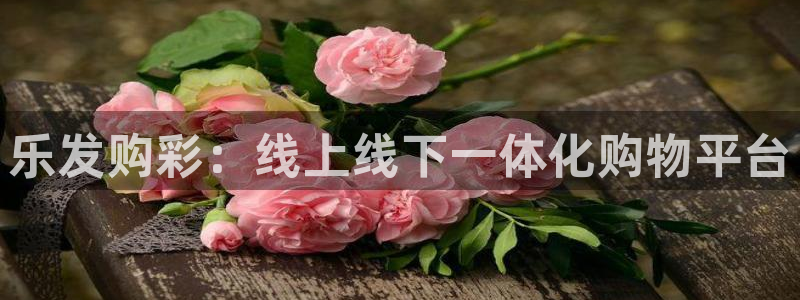 永盈welcome2体育：乐发购彩：线上线下一体化购物平台