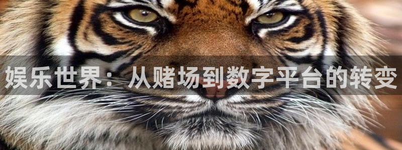 永盈welcome平台在线注册：娱乐世界：从赌场到数字平台的转变