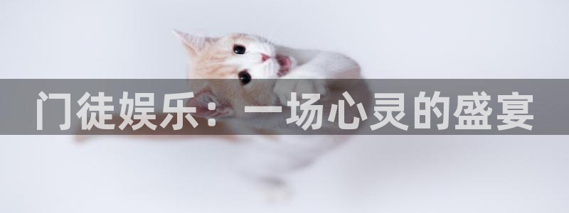 永盈welcome体育老板是谁：门徒娱乐：一场心灵的盛宴