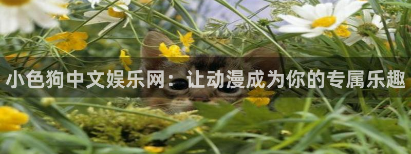 永盈welcome体育注册平台：小色狗中文娱乐网：让动漫成为你的专属乐趣