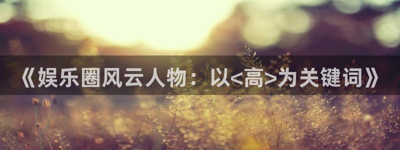 佛山市南海永盈welcome机电仪器有限公司：《娱乐圈风云人物：以<高>为关键词