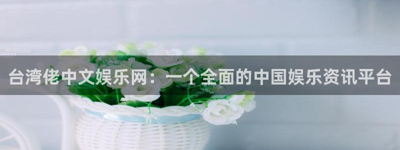 永盈welcome体育注册代理：台湾佬中文娱乐网：一个全面的中国娱乐资讯平台