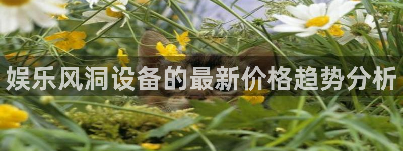 永盈welcome3注册：娱乐风洞设备的最新价格趋势分析