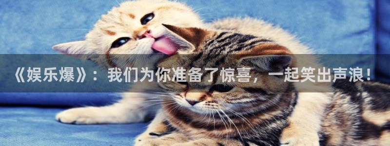 东莞市永盈welcome电子科技有限公司：《娱乐爆》：我们为你准备了惊喜，一起笑