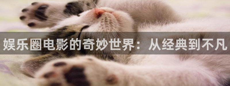 永盈welcome体育4：娱乐圈电影的奇妙世界：从经典到不凡