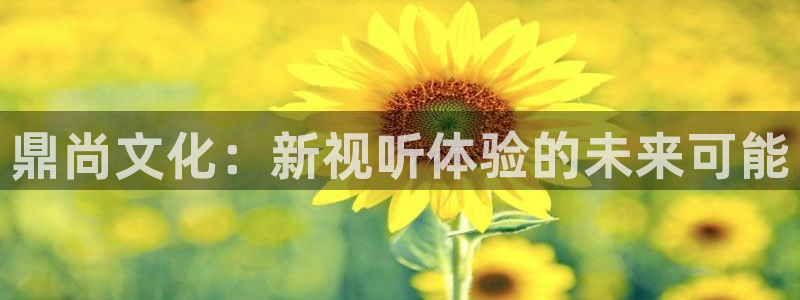 永盈welcome体育合法嘛：鼎尚文化：新视听体验的未来可能