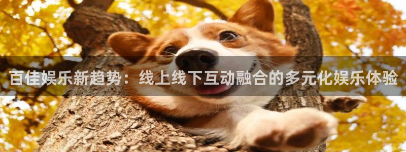 永盈welcome3代理：百佳娱乐新趋势：线上线下互动融合的多元化娱乐体验