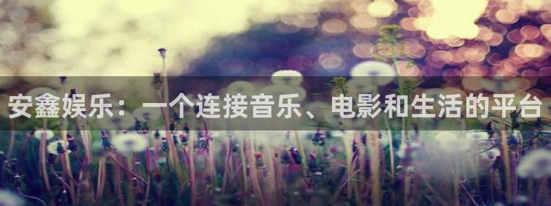 永盈welcome体育官网入口登录：安鑫娱乐：一个连接音乐、电影和生活的平台