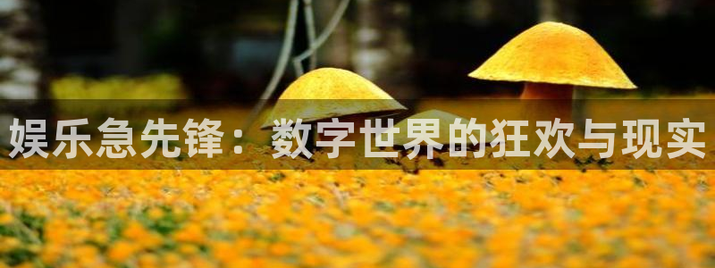 永盈welcome体育游戏：娱乐急先锋：数字世界的狂欢与现实