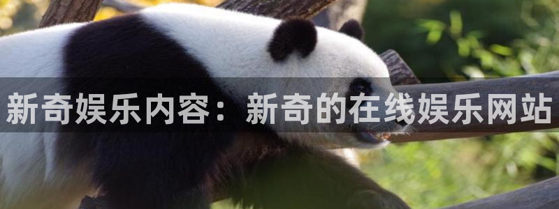 永盈welcome体育4：新奇娱乐内容：新奇的在线娱乐网站