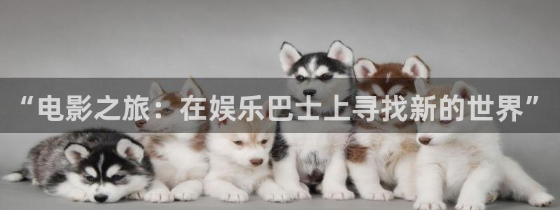 永盈welcome体育平台登录入口：“电影之旅：在娱乐巴士上寻找新的世界”