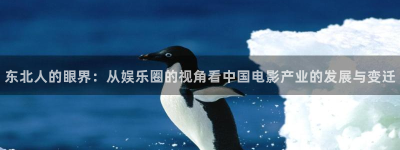 永盈welcome4官网：东北人的眼界：从娱乐圈的视角看中国电影产业的发展与变迁