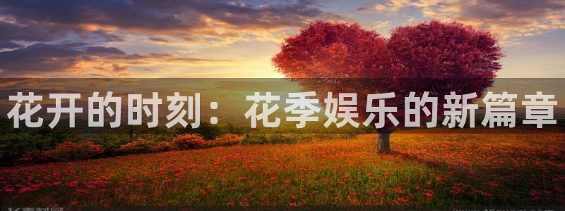 永盈welcome平台官网：花开的时刻：花季娱乐的新篇章